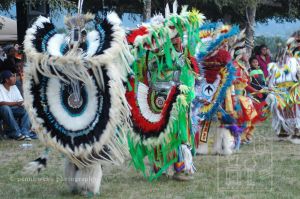 Pow Wow 225dpi 72 wm.jpg